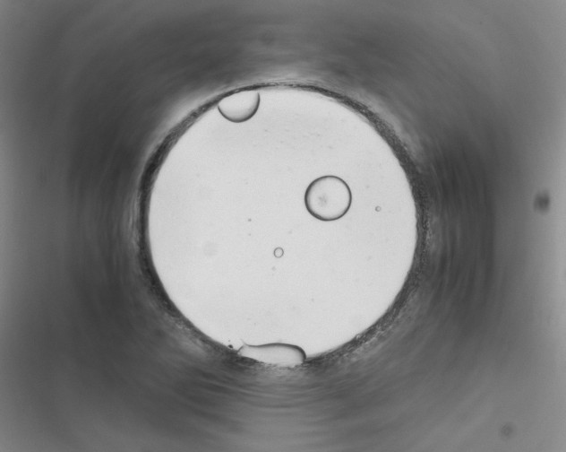 X0000116661270201001251210