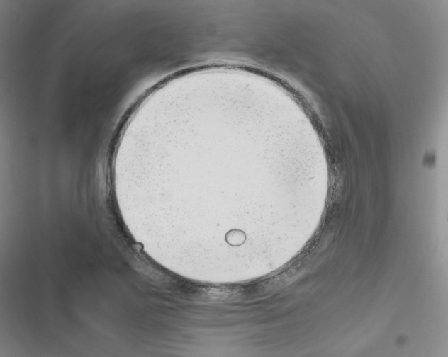 X0000116661271201001251210