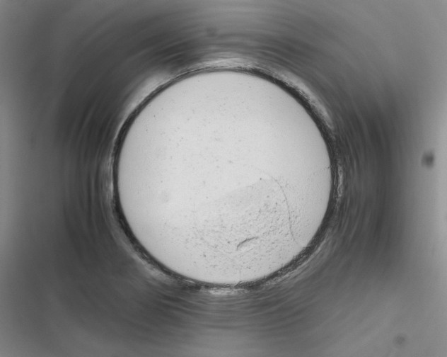 X0000116661274201001251210