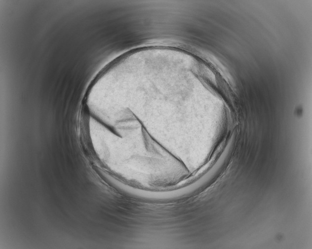 X0000116661276201001251210
