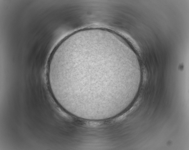 X0000116661278201001251210