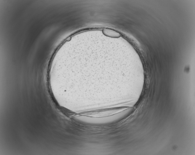 X0000116661279201001251210