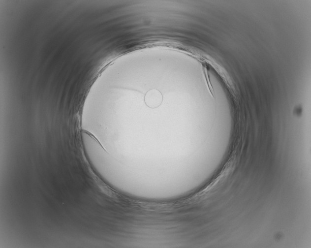 X0000116661281201001251210