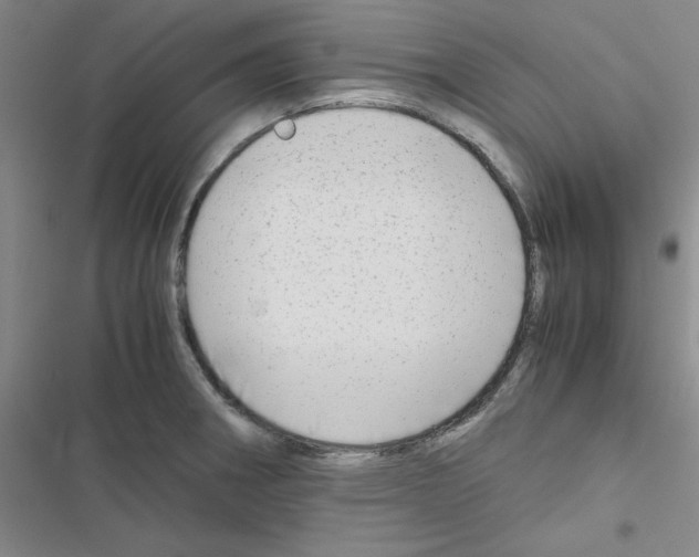 X0000116661282201001251210