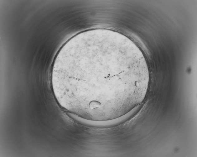 X0000116661284201001251210
