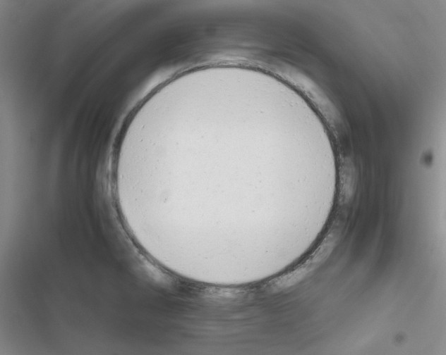 X0000116661286201001251210