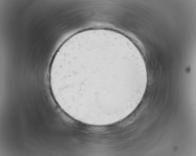 X0000116661287201001251210