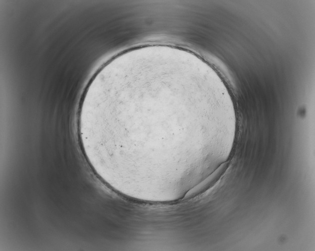 X0000116661288201001251210