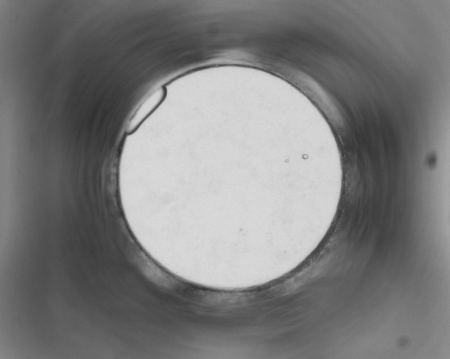 X0000116661292201001251210