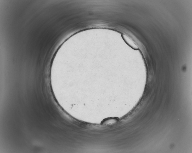 X0000116661293201001251210