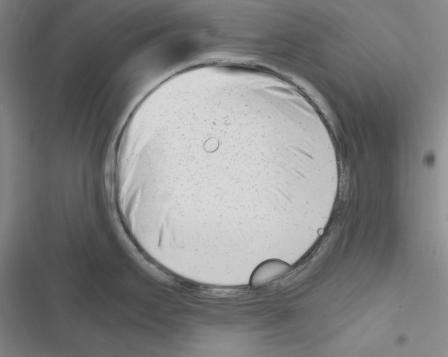 X0000116661295201001251210