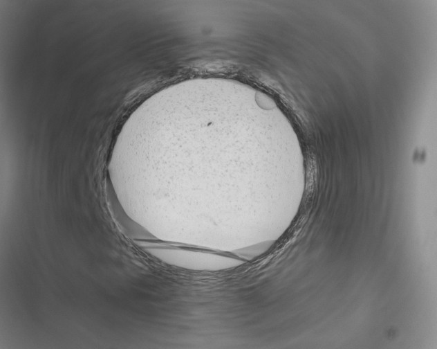 X0000116661297201001251209