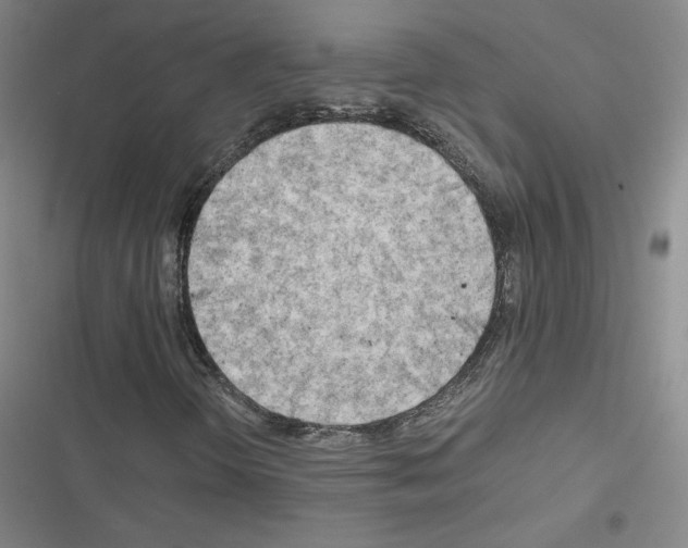 X0000116661298201001251209