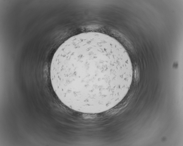 X0000116661299201001251209