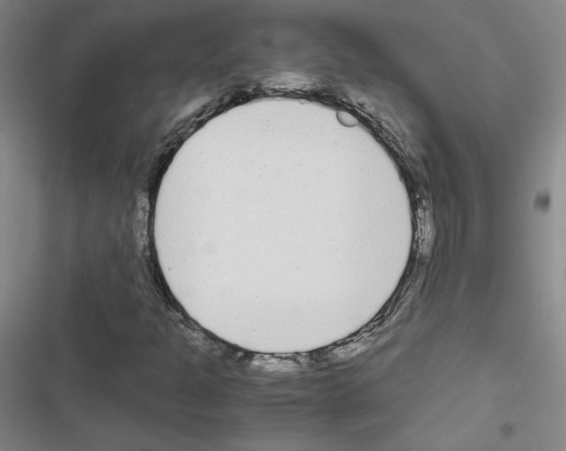 X0000116661301201001251209