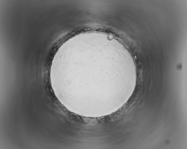 X0000116661302201001251209