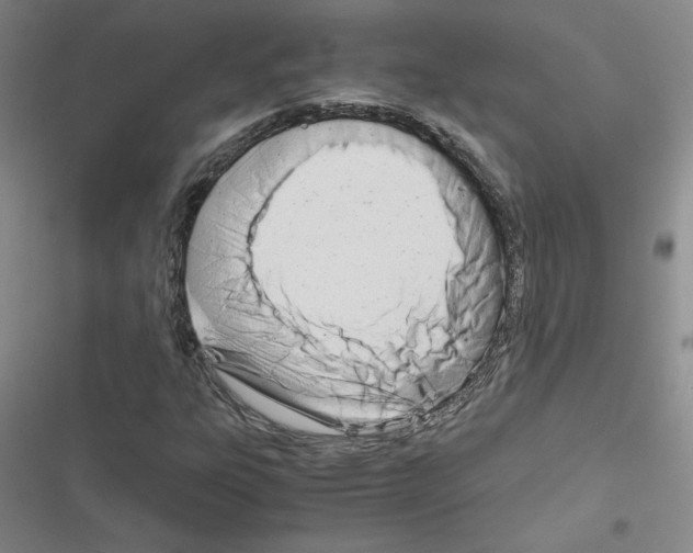 X0000116661303201001251209