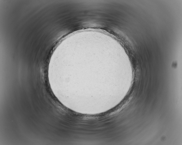 X0000116661305201001251209