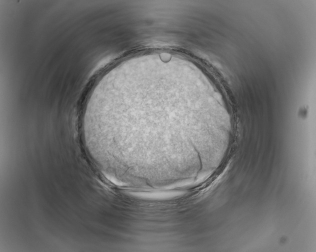 X0000116661306201001251209
