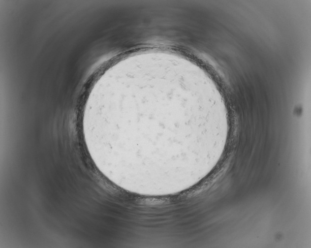 X0000116661307201001251209