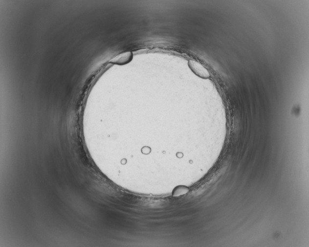 X0000116661309201001251209