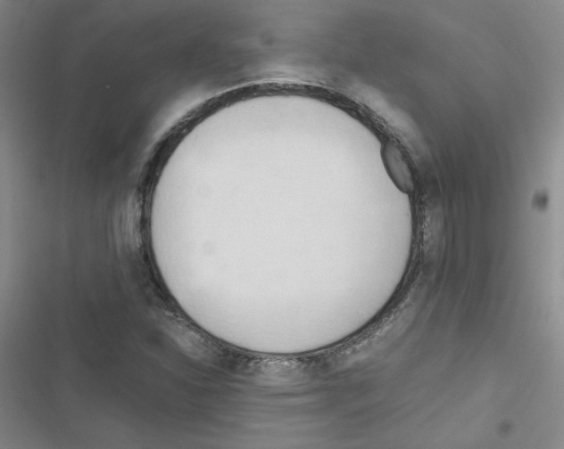 X0000116661310201001251209