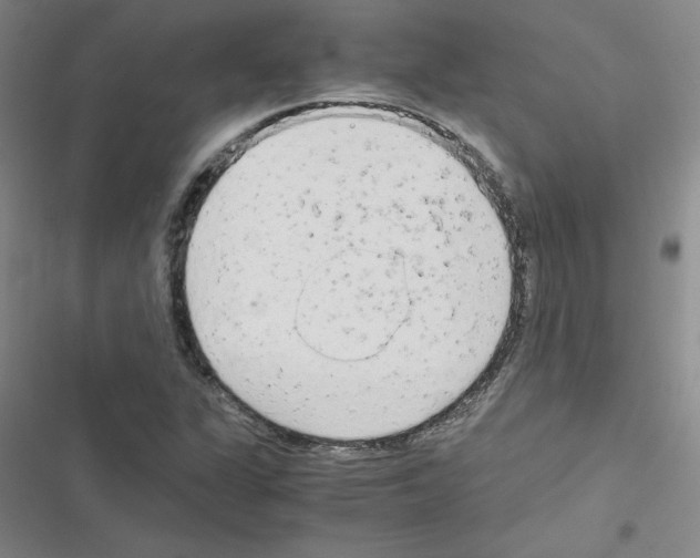 X0000116661311201001251209