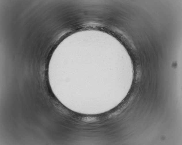 X0000116661313201001251209