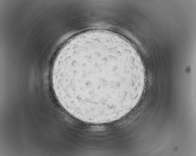X0000116661315201001251209