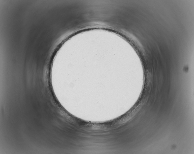 X0000116661318201001251209