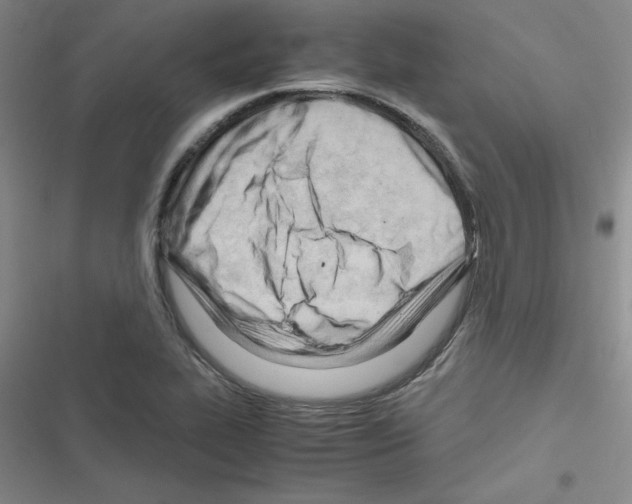 X0000116661319201001251209