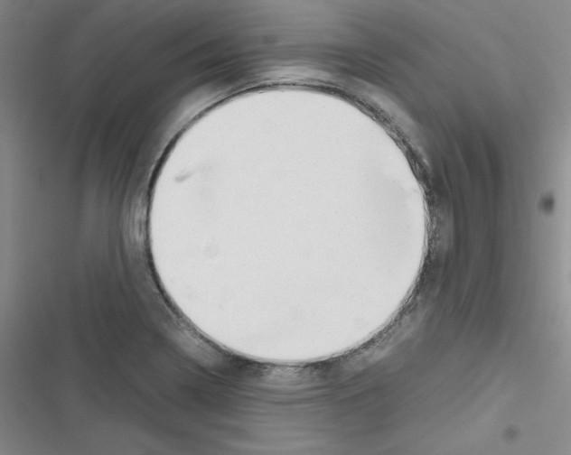 X0000116661322201001251209
