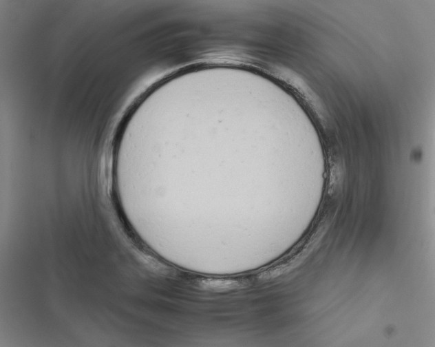X0000116661323201001251209