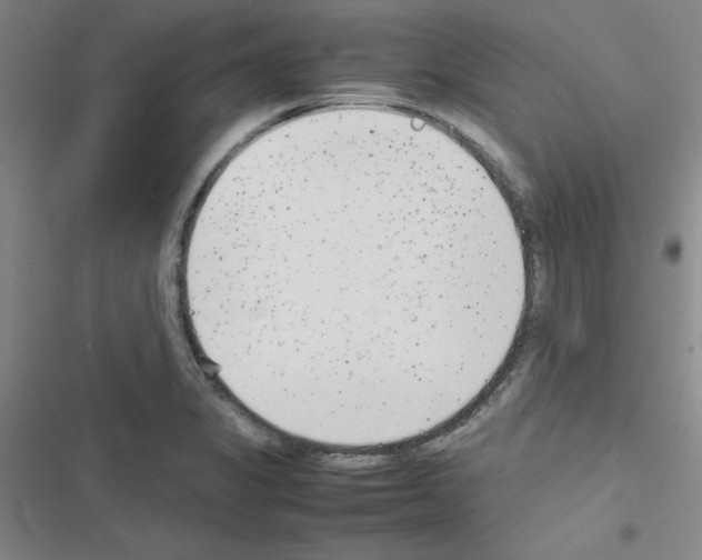 X0000116661325201001251209