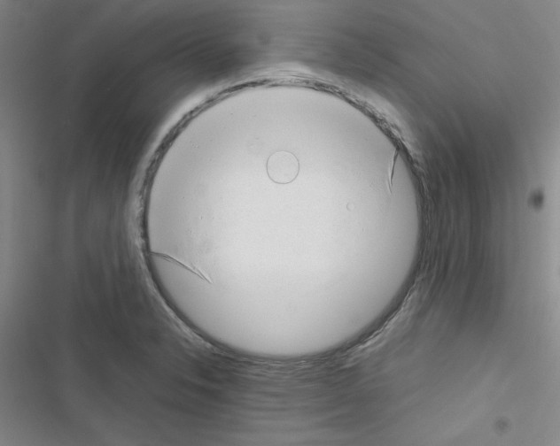 X0000116661326201001251210
