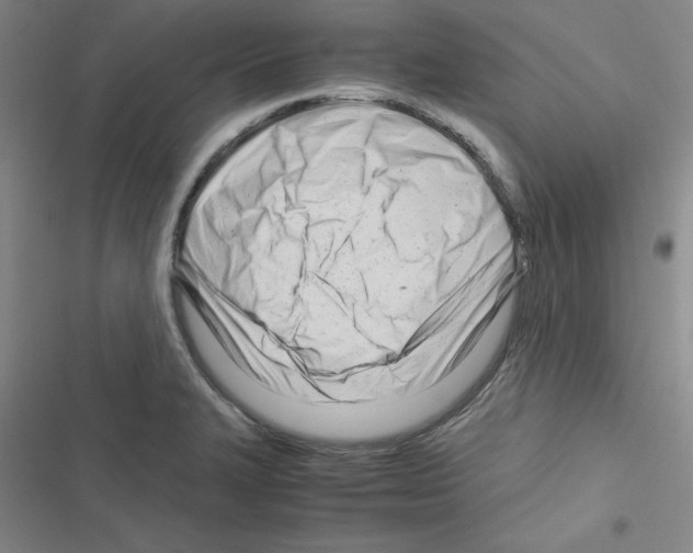 X0000116661327201001251210
