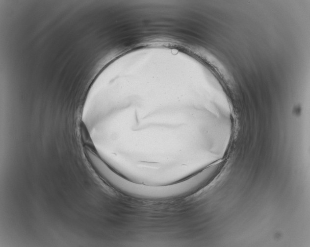X0000116661329201001251210