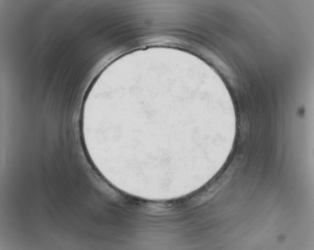X0000116661330201001251210