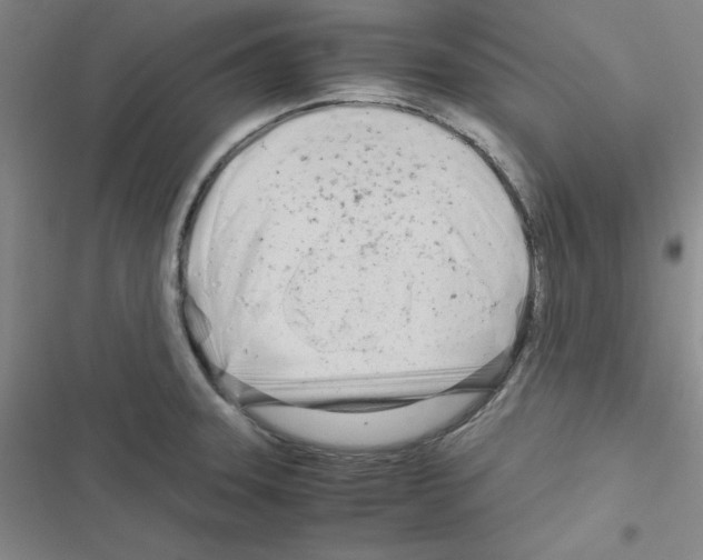X0000116661331201001251210