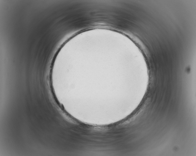X0000116661333201001251210