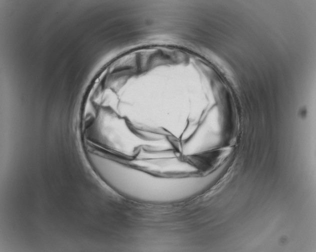 X0000116661334201001251210