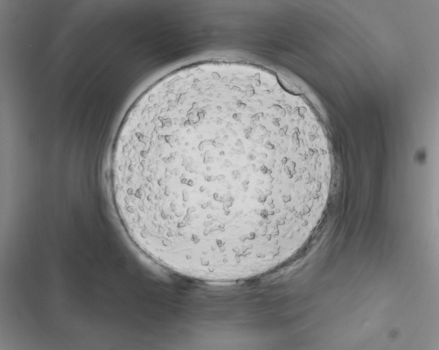 X0000116661343201001251210