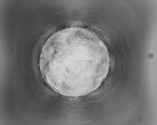 X0000116661345201001251209