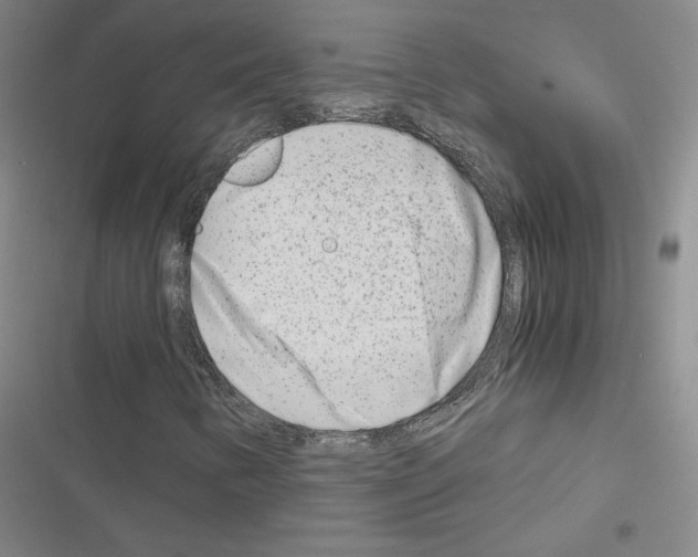 X0000116661346201001251209