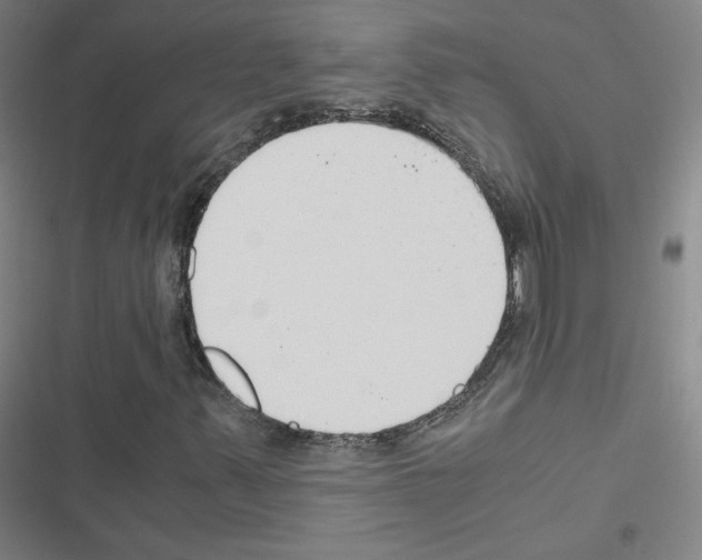 X0000116661347201001251209