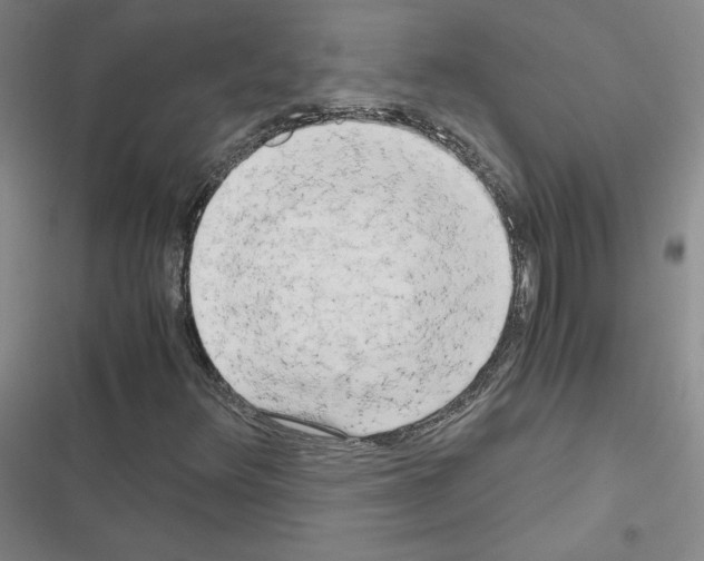 X0000116661348201001251209