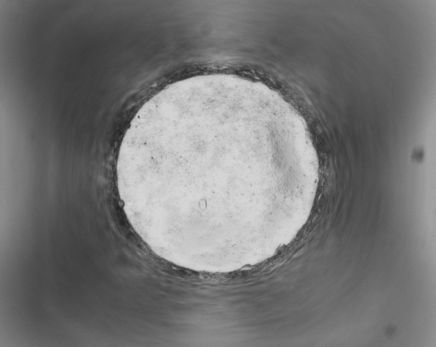 X0000116661349201001251209
