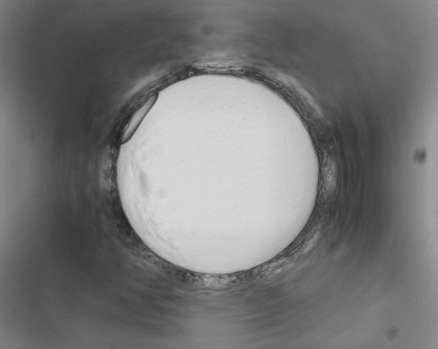 X0000116661350201001251209
