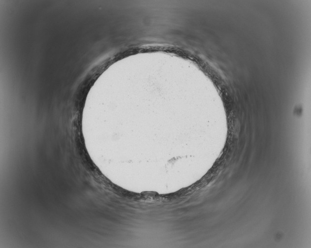 X0000116661351201001251209
