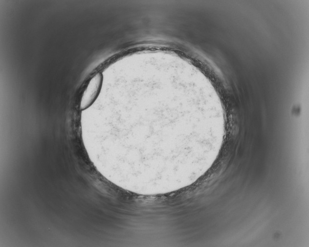 X0000116661352201001251209